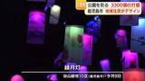 「谷山緑地に３３００個の灯籠　緑月灯にぎわう　鹿児島市」の画像1