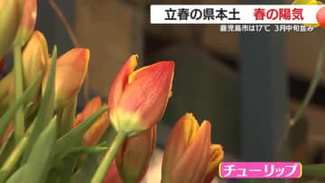 2月4日は立春　鹿児島県本土は春の陽気　鹿児島市は17℃　3月中旬並み