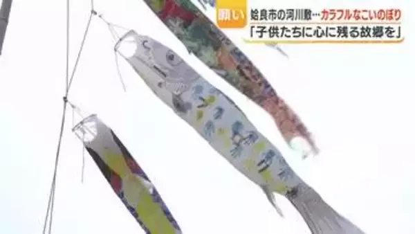 姶良市・思川「こいのぼり」高さ約15mが空に舞う　子どもの日に河川敷を彩る