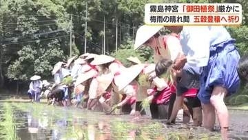 梅雨の晴れ間に霧島神宮で五穀豊穣願い斎田御田植祭　鹿児島・霧島市