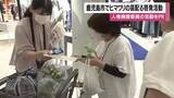 「鹿児島市でヒマワリの苗配る啓発活動　人権擁護委員の活動をPR」の画像1