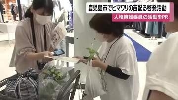 鹿児島市でヒマワリの苗配る啓発活動　人権擁護委員の活動をPR