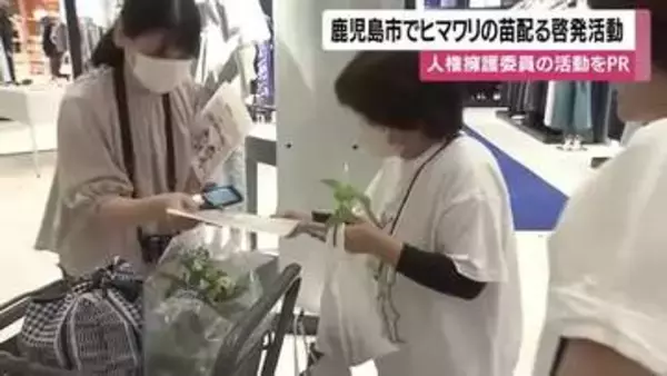 鹿児島市でヒマワリの苗配る啓発活動　人権擁護委員の活動をPR