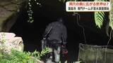 「霧島市・洞穴の奥に広がる世界は？　専門チームが潜水調査開始【鹿児島】」の画像1