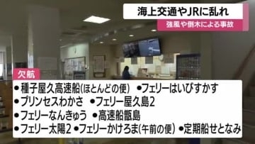 海上しけで海の便欠航相次ぐ　鹿児島