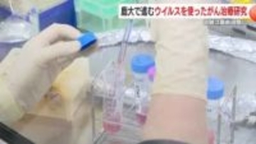 鹿児島大学で進むウイルスを使ったがん治療研究　治験は最終段階に