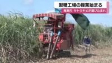 奄美大島でサトウキビの製糖始まる　鹿児島