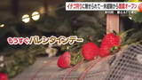 「イチゴ狩りに魅せられて…未経験から農園オープン　愛とＡＩで育む観光農園　鹿児島・肝付町」の画像1