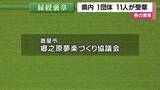 「農業・航空・消防・保護司   2026年春の褒章、鹿児島から12受章者の顔ぶれ」の画像1