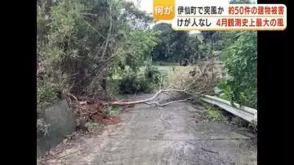 「屋根が飛んだ」突風被害、徳之島伊仙町で約50件被害確認　気象庁が現地調査へ