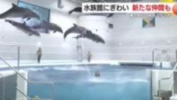 週の中日の祝日スケッチ　水族館にぎわう　県警ではユニークなイベント　鹿児島