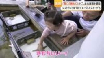かごしま水族館、GW5日間で3万3000人を見込む　家族連れや観光客でにぎわう