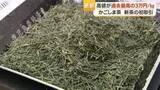 「「かごしま茶」生産量2年連続日本一　初取引で最高値1kg＝3万円に「すごく香りが良い」」の画像1