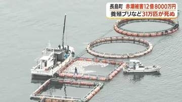 赤潮被害12億8000万円　長島町で養殖ブリなど31万匹が死ぬ【鹿児島】