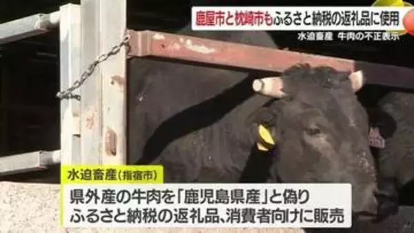 枕崎で数千件に拡大か　ふるさと納税“黒毛和牛”不正表示で6自治体に波及