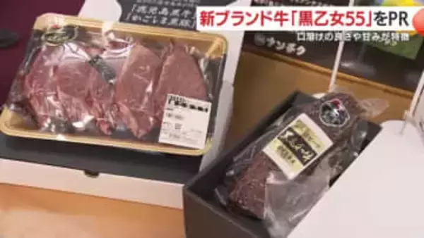 新ブランド牛「黒乙女55」をＰＲ　口溶けの良さや甘みが特徴　【鹿児島】