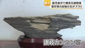 石の魅力に触れるー観賞石展開催　鹿児島市
