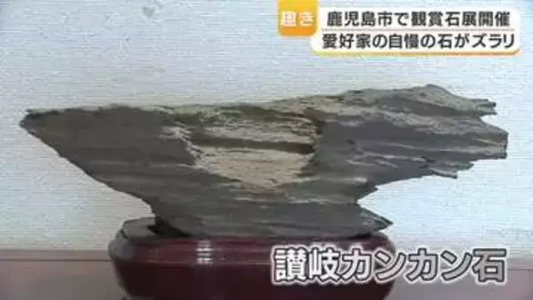 石の魅力に触れるー観賞石展開催　鹿児島市