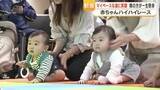 「赤ちゃんハイハイレース　子どもの日に「よーいスタート！」　親の方が一生懸命」の画像1
