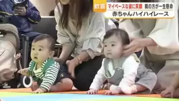 赤ちゃんハイハイレース　子どもの日に「よーいスタート！」　親の方が一生懸命