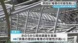 「伊仙町の突風「竜巻だった可能性」　鹿児島・伊仙町」の画像1