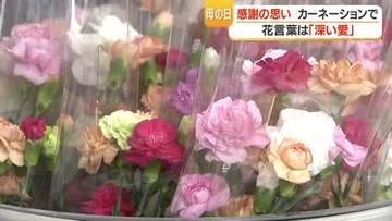 母の日直前　日置市・県立農業大学校で販売会　「学生が育てたカーネーション」3本200円