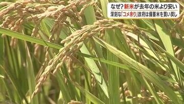 なぜ？新米が古米より安い　米5キロが1年で1300円以上値下がり　令和の米騒動の"その後"
