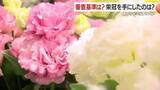 「「花の美しさだけじゃない」審査で重視された“流通力”とは　県フラワーコンテスト金賞・農林水産大臣賞の理由」の画像1