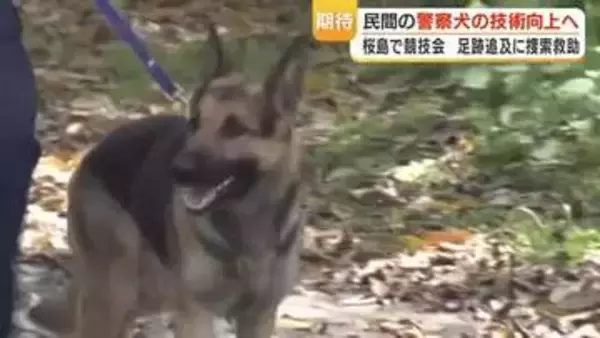 民間の警察犬の技術向上へ　桜島で競技会　足跡追及に捜索救助
