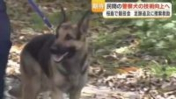 民間の警察犬の技術向上へ　桜島で競技会　足跡追及に捜索救助