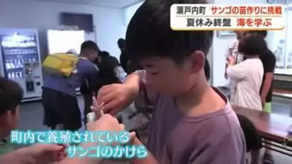 サンゴの苗作りに挑戦　夏休み終盤　海を学ぶ【鹿児島・瀬戸内町】