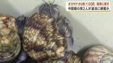 「奄美大島の天然記念物オカヤドカリ　密捕獲された約1100匹を海岸に戻す　中国籍の男2人を逮捕・起訴」の画像1