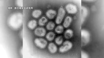 鹿児島県でインフル急増　子ども（10〜14歳）に拡大