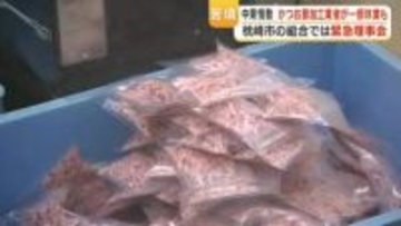 かつお節「三重苦」　原油高で加工業者が休業相次ぐ 　枕崎・指宿