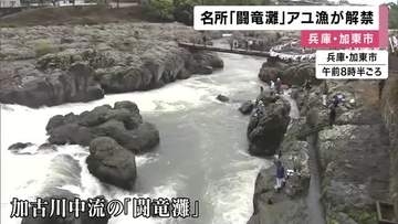 アユ釣り解禁　加古川中流の名所「闘竜灘」　稚魚１万匹放流　本格シーズンは来月から　兵庫・加東市