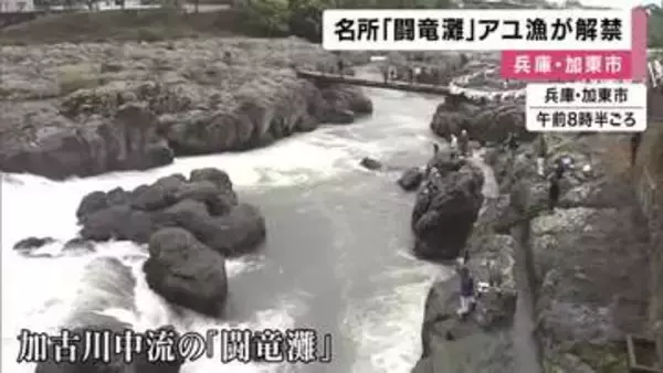 アユ釣り解禁　加古川中流の名所「闘竜灘」　稚魚１万匹放流　本格シーズンは来月から　兵庫・加東市