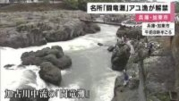 アユ釣り解禁　加古川中流の名所「闘竜灘」　稚魚１万匹放流　本格シーズンは来月から　兵庫・加東市