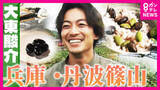 「移住者急増！兵庫・丹波篠山　「まるでジブリの世界」築250年の一日一組限定宿　1週間ごとに変化「幻の黒枝豆」と黒豆グルメに大東さん感動【大東駿介の発見！てくてく学】」の画像1
