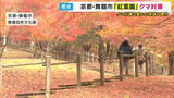 「京都・舞鶴で見ごろ迎える「紅葉園」去年クマが出没で対策追われる　クマが嫌いな臭いの液体に爆竹まで…「お客さんにケガ無いように」ことしは閉園時間を早める」の画像1