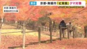 京都・舞鶴で見ごろ迎える「紅葉園」去年クマが出没で対策追われる　クマが嫌いな臭いの液体に爆竹まで…「お客さんにケガ無いように」ことしは閉園時間を早める
