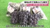 「福知山市で「復興ぶどう」販売　13年前の台風で大きな被害を受け水害に強いブドウを栽培　売り上げの一部を熊本地震の被災地に寄付」の画像1
