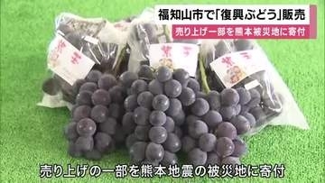 福知山市で「復興ぶどう」販売　13年前の台風で大きな被害を受け水害に強いブドウを栽培　売り上げの一部を熊本地震の被災地に寄付