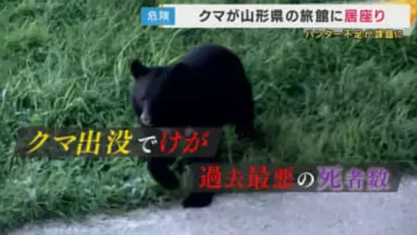 投稿・拡散で「罪に問われる可能性も」元検事が指摘『子グマを抱っこ』『クマにエサ』生成AI作成の“フェイククマ動画”がSNSで拡散