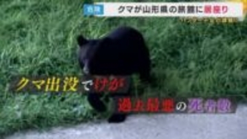 投稿・拡散で「罪に問われる可能性も」元検事が指摘『子グマを抱っこ』『クマにエサ』生成AI作成の“フェイククマ動画”がSNSで拡散