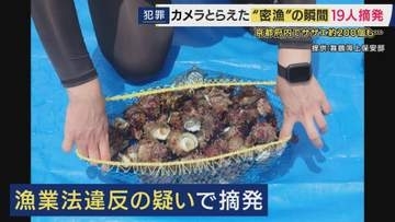 「泥棒されているような状況」　カメラがとらえた“密漁”の瞬間　海水浴シーズンに急増　漁業法違反の疑いで京都で19人摘発　クーラーボックスに大量のサザエが…