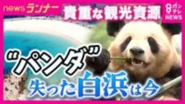 絶対的アイドル・パンダ不在でも客足好調　和歌山・白浜町　アドベンチャーワールドが目指す「地球で1番癒されるパーク」　町長が明かす“シン白浜町”構想　温泉への原点回帰　草津温泉をモデルにした「湯畑」も