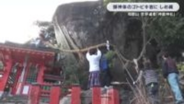 御燈祭を前に　世界遺産・熊野速玉大社「神倉神社」でゴトビキ岩に30ｍしめ縄