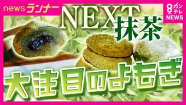 抹茶の品薄・高騰で注目集まる『ヨモギ』　“ネクスト抹茶”とも　ヨモギ農家に転身した人も