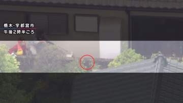 【速報】クマの目撃情報が相次ぐ栃木・宇都宮の住宅街で「麻酔銃」を撃ったか　緊急狩猟か　クマは2頭の可能性も