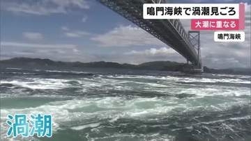 鳴門海峡　ダイナミックな渦潮が見ごろ　GW期間中に「大潮」の時期迎える